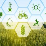 Revitalizing Agriculture in KP: Innovations and Investment Trends