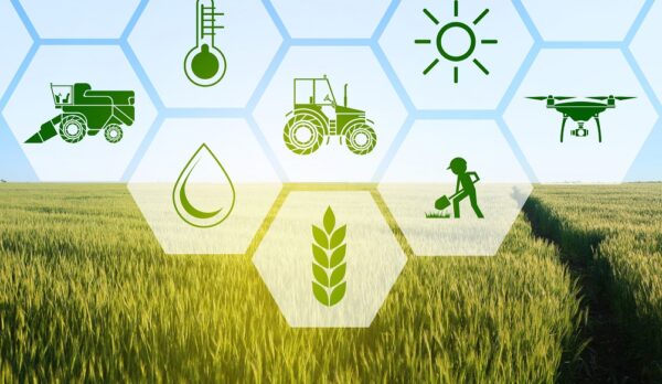 Icons and field on background. Concept of smart agriculture and modern technology