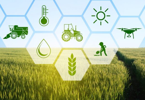 Icons and field on background. Concept of smart agriculture and modern technology